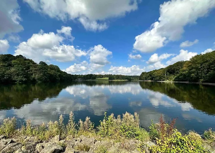 View: Elegant Roundhay With Ev Charging *
